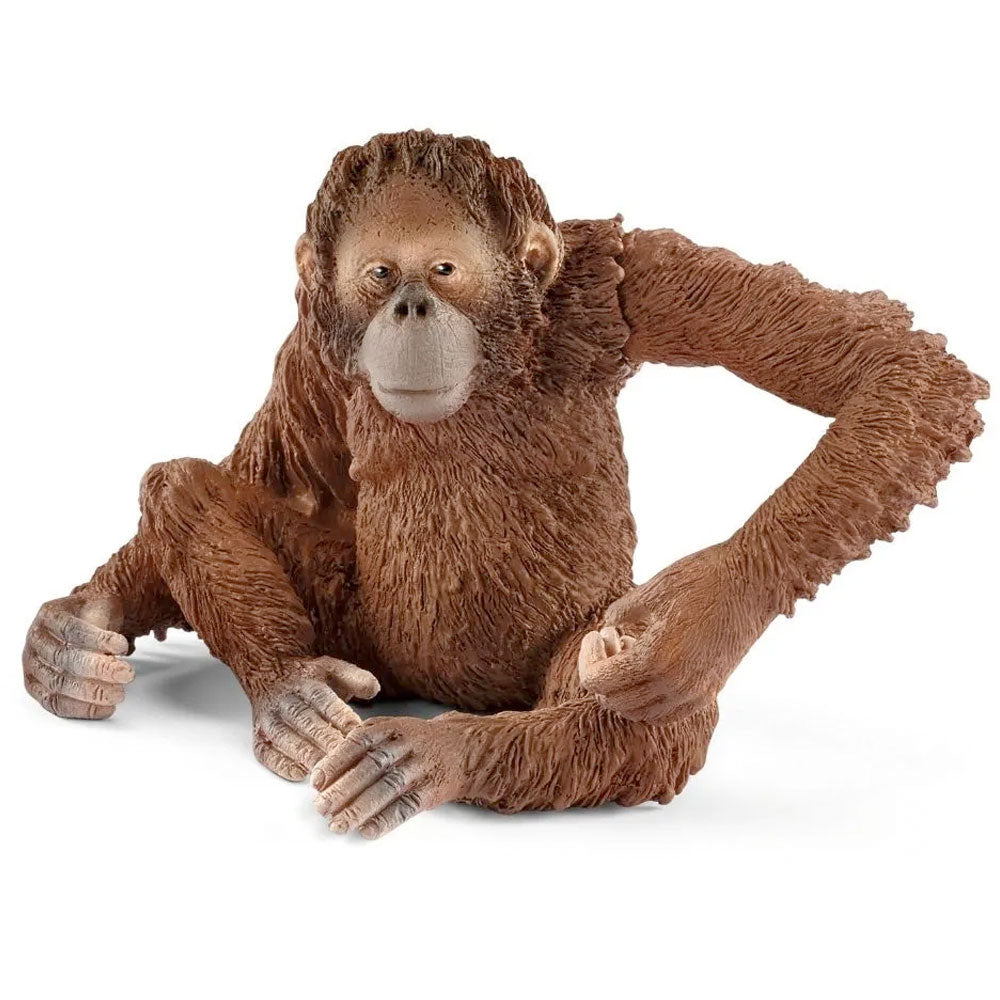Wild Life Orangutan Female Animal Figurine from Schleich for kids aged 3 years & up