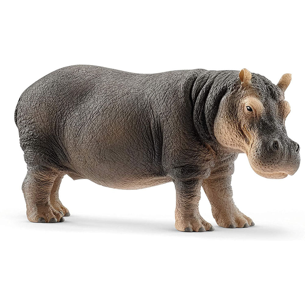 Schleich Wild Life Figurines Value Pack - Grizzly Bear & Hippopotamus