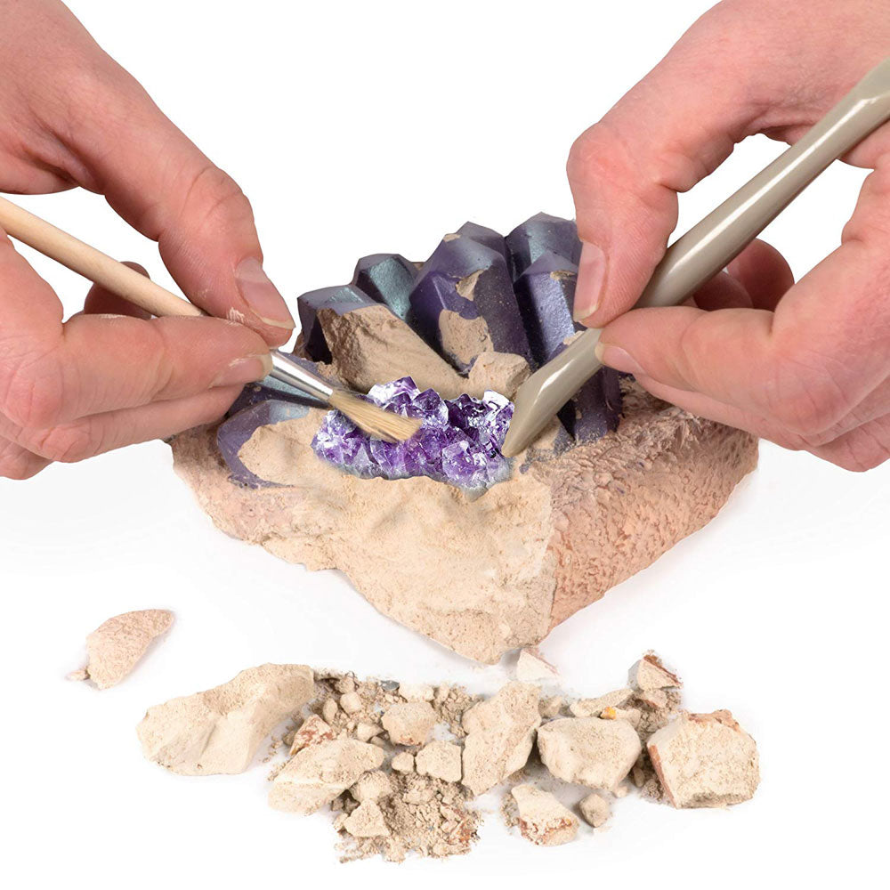National Geographic Science Value Pack: Dino Fossil + Gemstone
