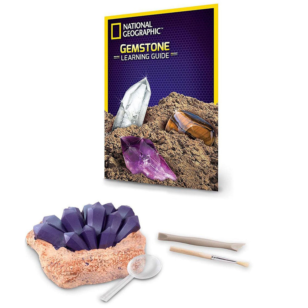 National Geographic Science Value Pack: Dino Fossil + Gemstone