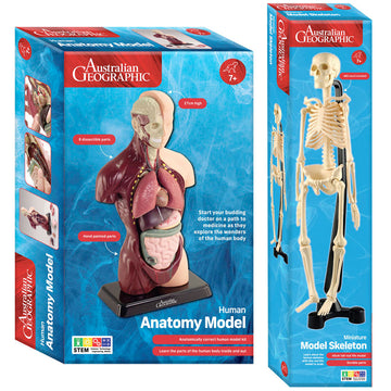 Human Anatomy Model & Mini-Skeleton by Australian Geographic Value Pack