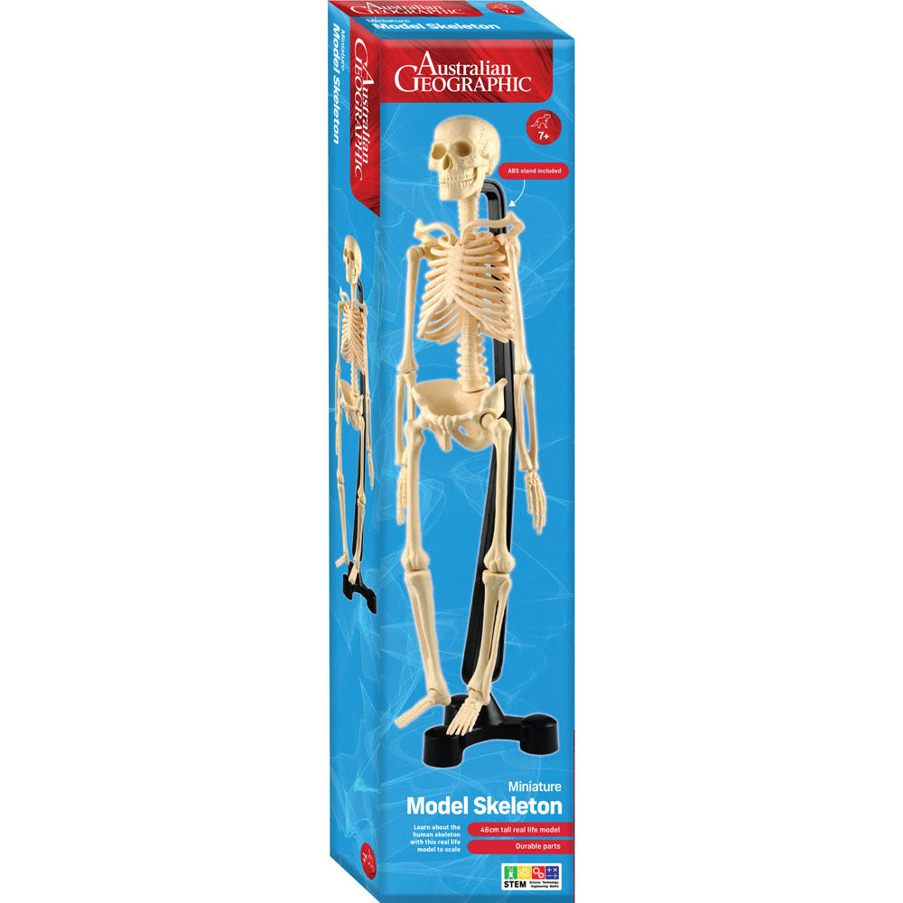 Australian Geographic 46cm Mini-Skeleton STEM educational toy for boys and girls