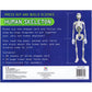 Top That Press Out and Build Value Pack - Pirate Ship & Human Skeleton