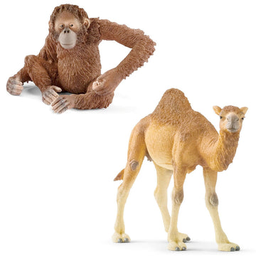 Wild Life Animal Figurines Orangutan Female & Dromedary Value Pack from Schleich for kids
