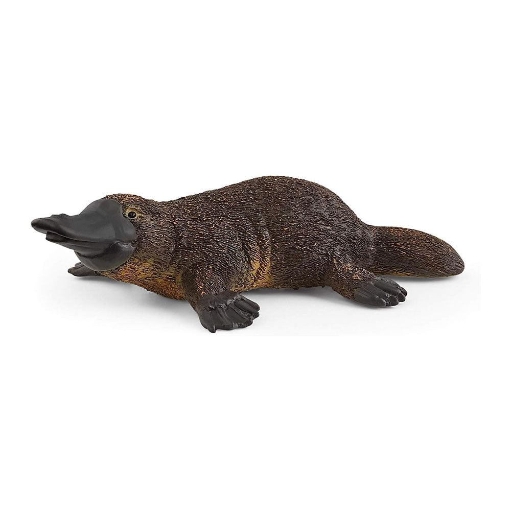 Platypus Animal Figurine from Wild Life by Schleich for kids aged 3 years and up