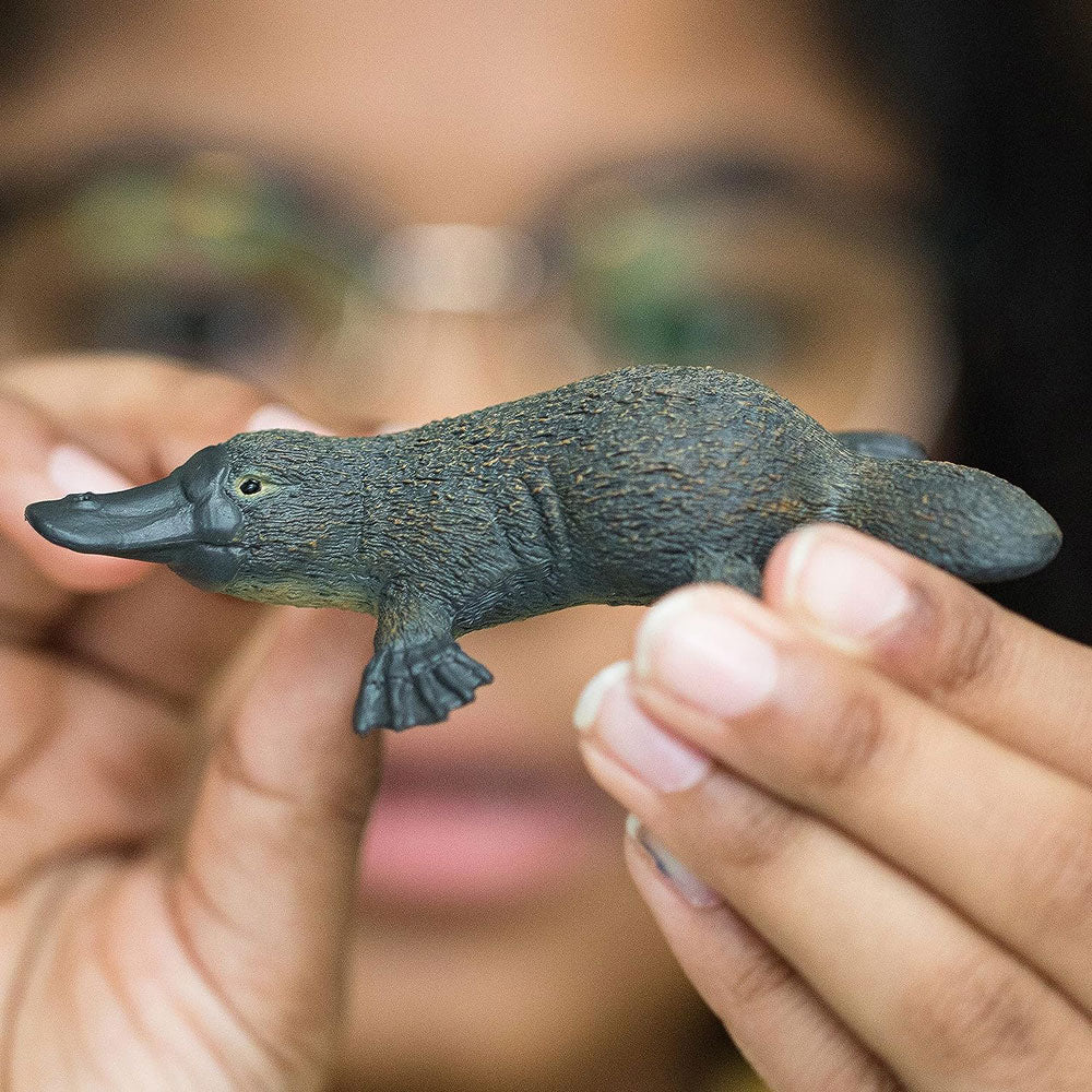 Hand painted Platypus Animal Figurine from Wild Life by Schleich