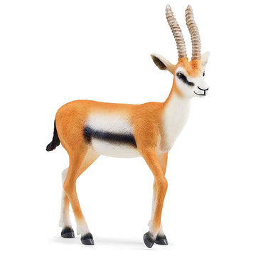Thomson Gazelle Animal Figurine from Wild Life by Schleich for kids aged 3-8 years