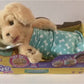 Moose Little Live Pets Plush Cozy Dozys Charlie the Puppy