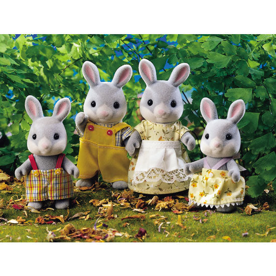 Meet the Cottontail Rabbit Family, pack includes Mother Sorrel, Father Aaron, Brother Gromwell & Sister Willow.
