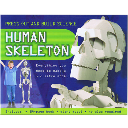 Top That Press Out and Build Science Human Skeleton