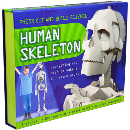 Top That Press Out and Build Science Human Skeleton