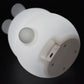 Kaper Kidz Bedtime Buddy Bugsy Night Lights Value Pack: Bunny + Owl