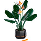 [DISCONTINUED] LEGO Botanical Collection 10289 Bird of Paradise