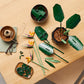 [DISCONTINUED] LEGO Botanical Collection 10289 Bird of Paradise