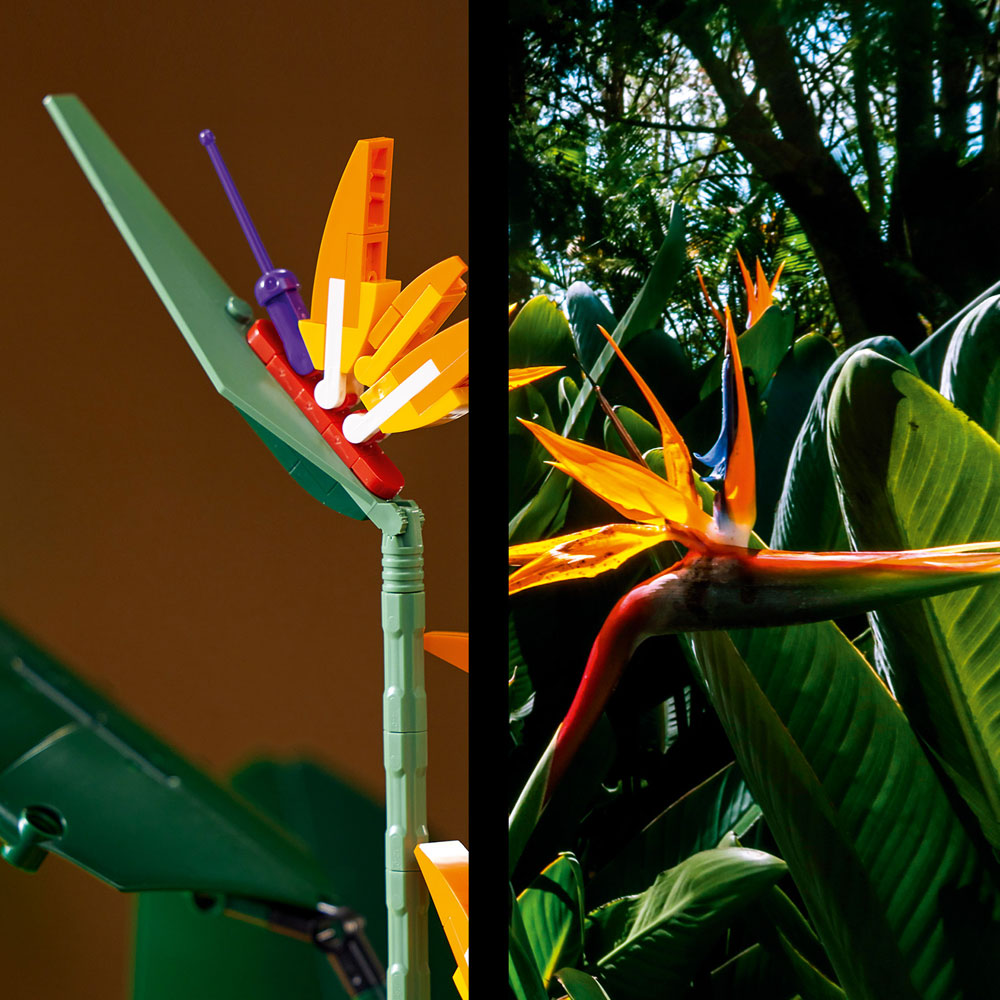 [DISCONTINUED] LEGO Botanical Collection 10289 Bird of Paradise