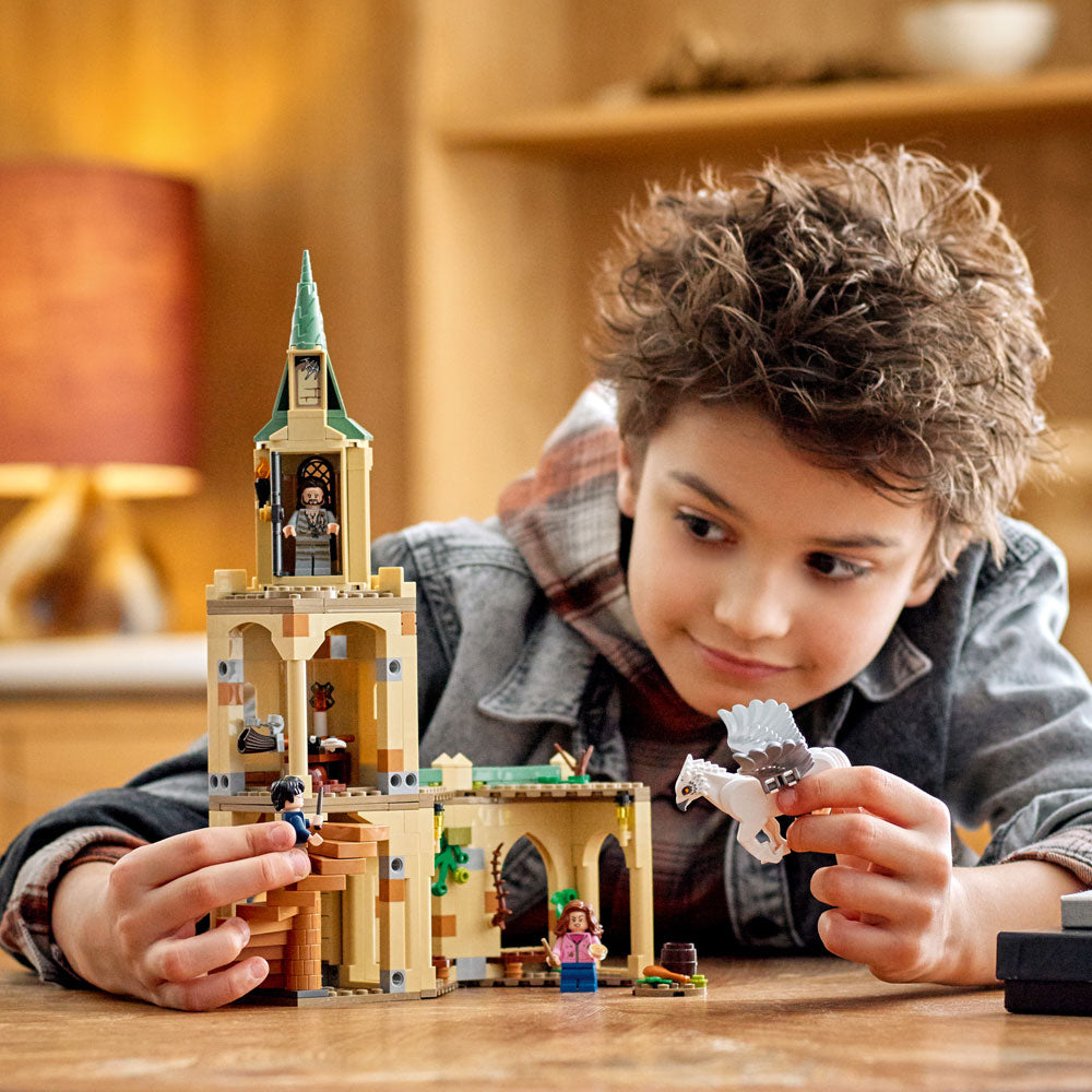 [DISCONTINUED] LEGO Harry Potter 76401 Hogwarts Courtyard: Sirius’s Rescue