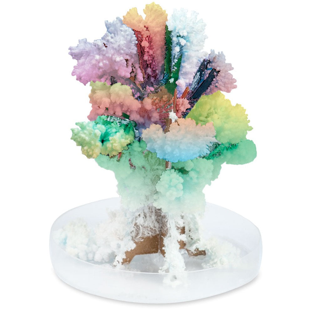 Grow a creepy crystal tree, create your own diamonds and make crystals that rock!