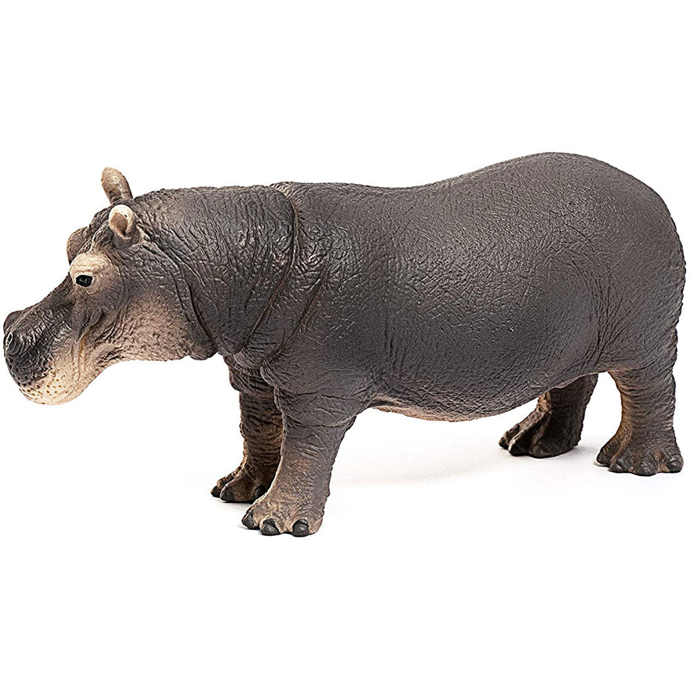 Schleich Wild Life Figurines Value Pack - Grizzly Bear & Hippopotamus