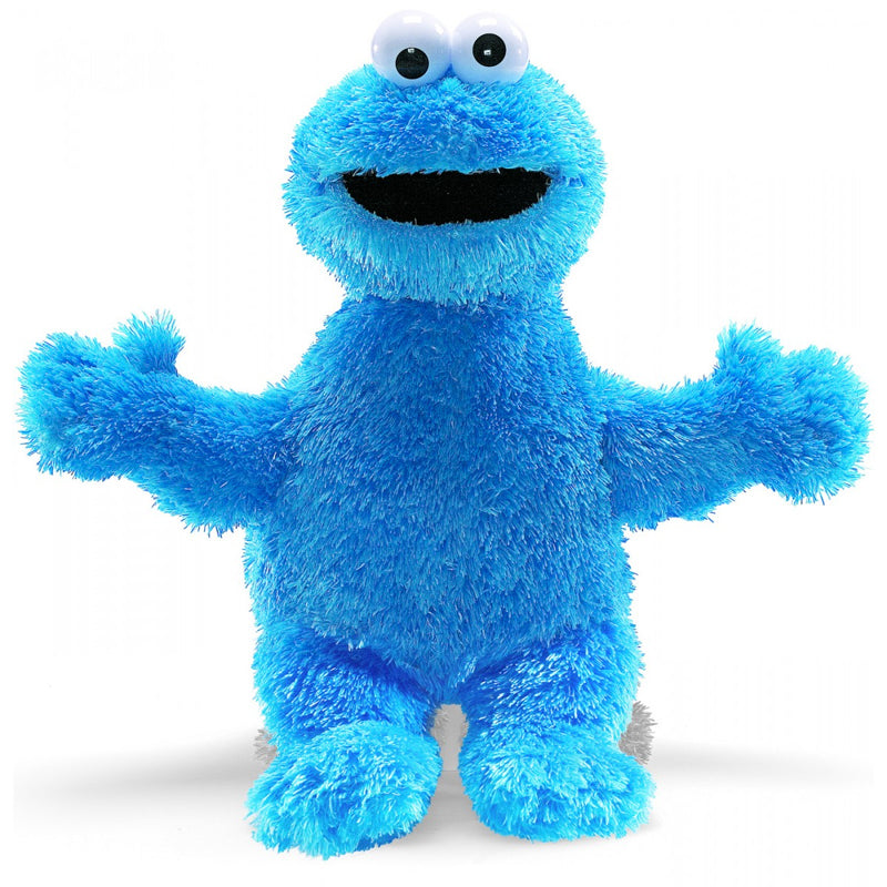 Sesame Street Cookie Monster Plush 30cm