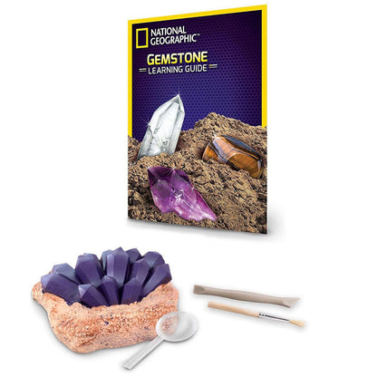National Geographic Science Gemstone Dig Kit