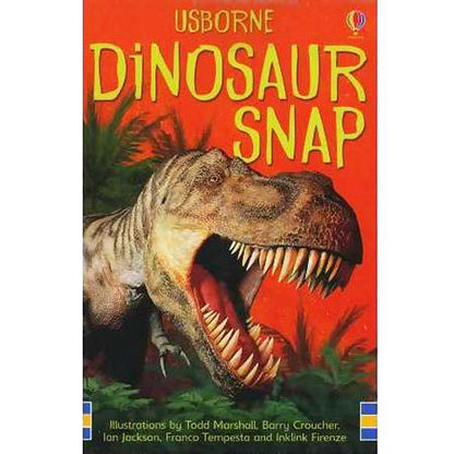 Usborne Snap Card Game Value Pack: Dinosaur + Pirate